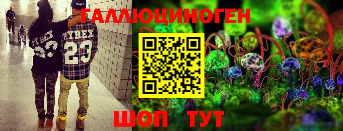 Псилоцибиновые грибы Cubensis Чапаевск