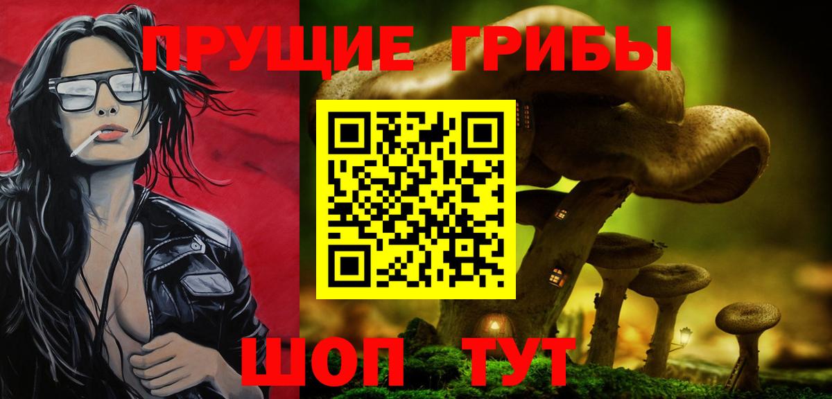 Псилоцибиновые грибы Psilocybine cubensis  Вход с VPN  Чапаевск 